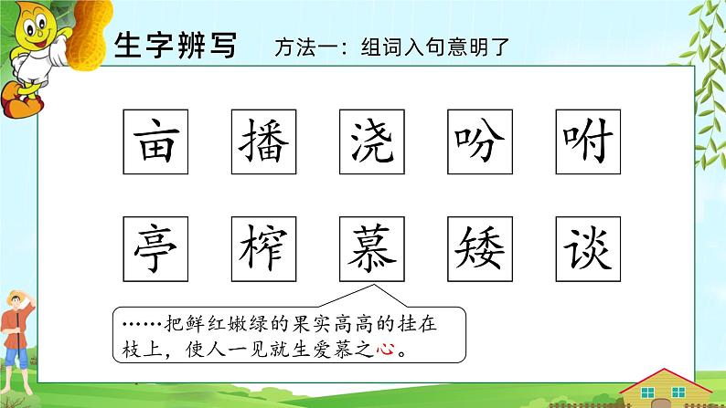 2.落花生 第一课时 课件（含视频）+教案07