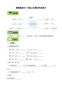 小学语文人教部编版一年级上册比尾巴优秀学案