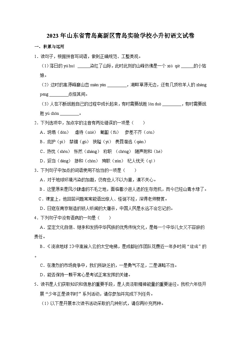 2023年山东省青岛高新区青岛实验学校小升初语文试卷（含解析）01