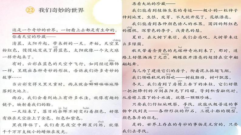 《我们奇妙的世界》课件第7页