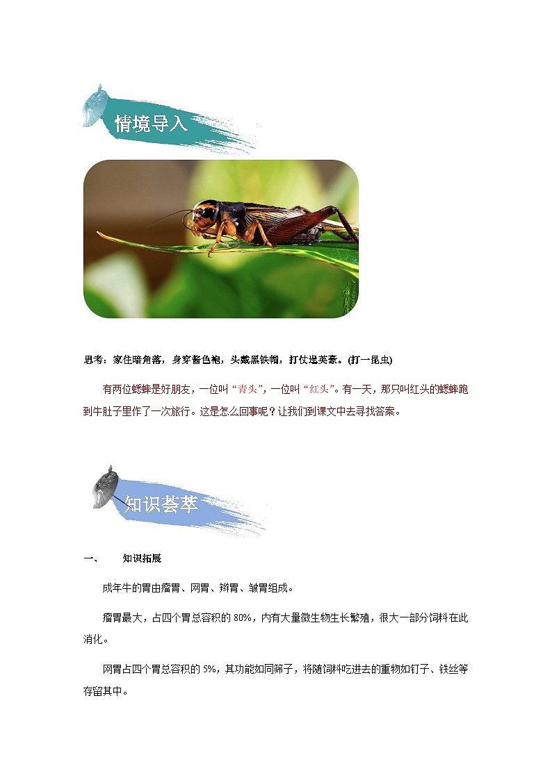 【知识精讲精练】部编版语文三年级上册-第三单元 第10课：在牛肚子里旅行 知识点讲义+练习（教师版+学生版）02