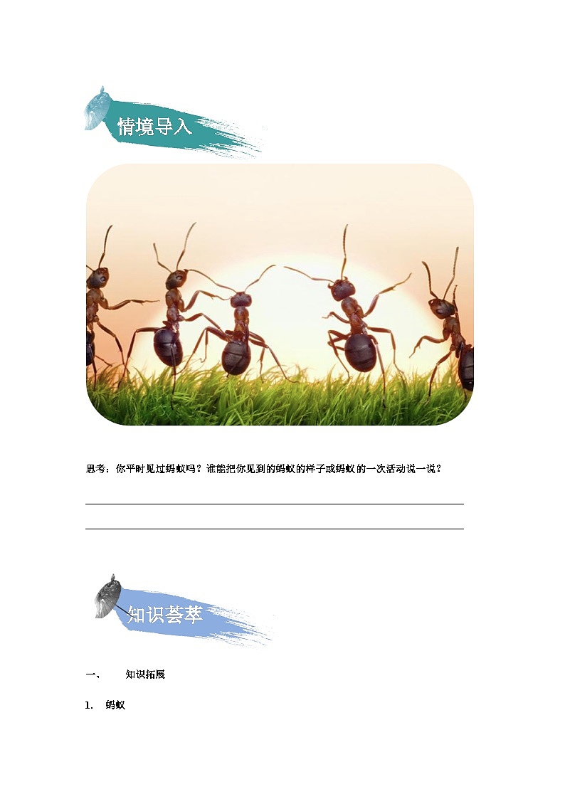 【知识精讲精练】部编版语文三年级上册-第三单元 第11课：一块奶酪 知识点讲义+练习（教师版+学生版）02