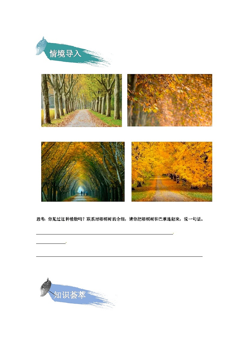 【知识精讲精练】部编版语文三年级上册-第二单元 第05课：铺满金色巴掌的水泥道 知识点讲义+练习（教师版+学生版）02