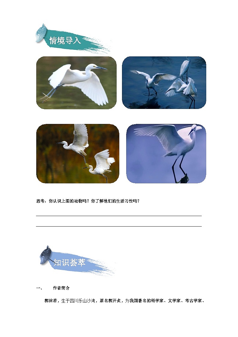 【知识精讲精练】部编版语文五年级上册-第01课：白鹭  讲义（教师版+学生版）02