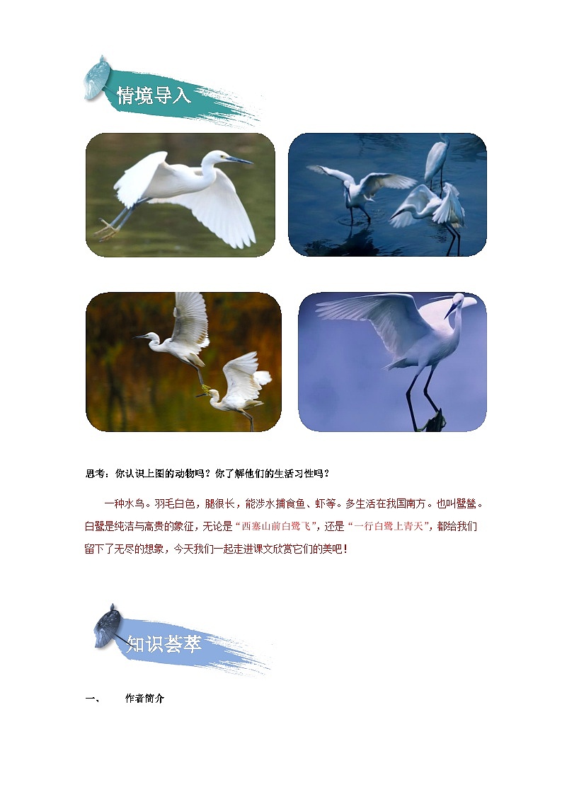 【知识精讲精练】部编版语文五年级上册-第01课：白鹭  讲义（教师版+学生版）02
