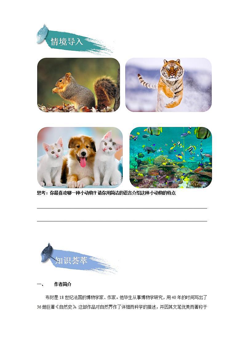 第17课：松鼠（学生版）第2页