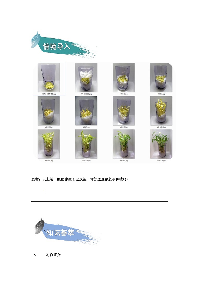 【知识精讲精练】部编版语文四年级上册-第三单元 写作写观察日记语文 知识点讲义+练习（教师版+学生版）02