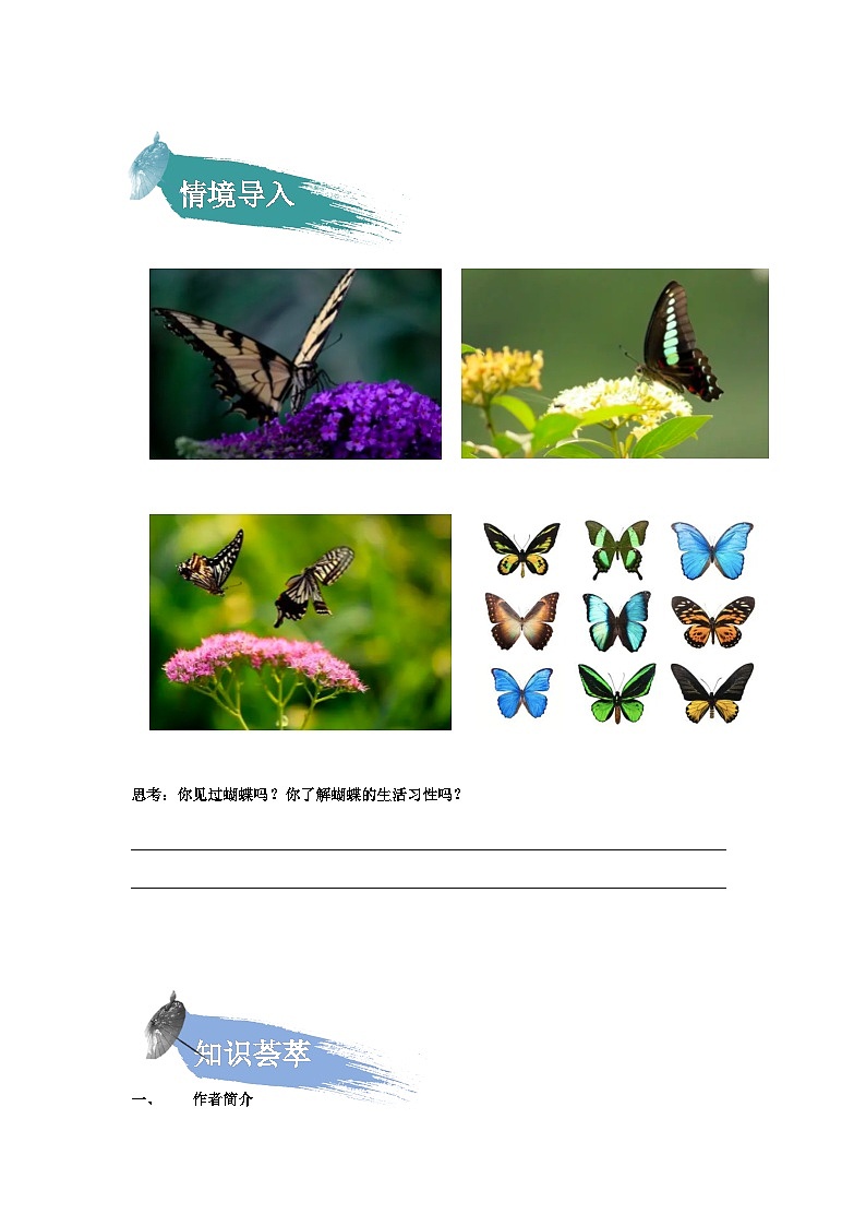【知识精讲精练】部编版语文四年级上册-第二单元 第08课：蝴蝶的家 知识点讲义+练习（教师版+学生版）02