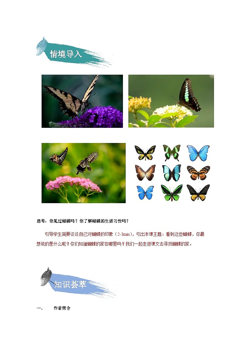 【知识精讲精练】部编版语文四年级上册-第二单元 第08课：蝴蝶的家 知识点讲义+练习（教师版+学生版）02