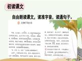 统编版语文三年级上册1 大青树下的小学 课件