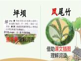 统编版语文三年级上册1 大青树下的小学 课件