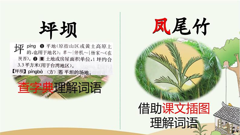 统编版语文三年级上册1 大青树下的小学 课件05