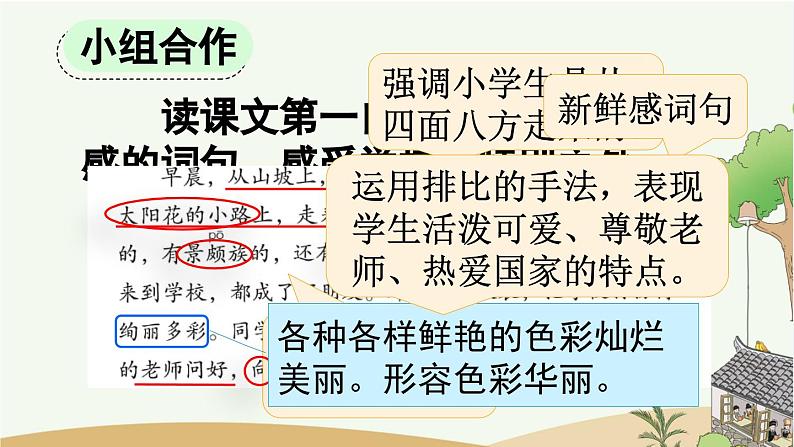 统编版语文三年级上册1 大青树下的小学 课件08