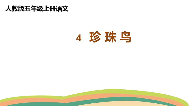 4 珍珠鸟（课件）人教部编版五年级上册语文01