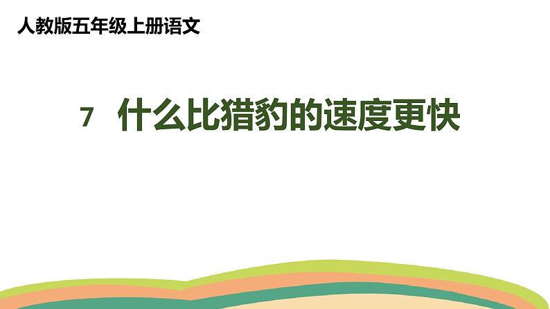 7什么比猎豹的速度更快（课件）人教部编版五年级上册语文01