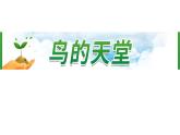 23《鸟的天堂》 课件-部编版语文五年级上册