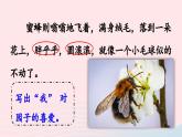 2023五年级语文下册第1单元2祖父的园子第2课时课件新人教版