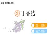 小学语文部编版六年级上册第2课《丁香结》课件（2023秋新课标版）