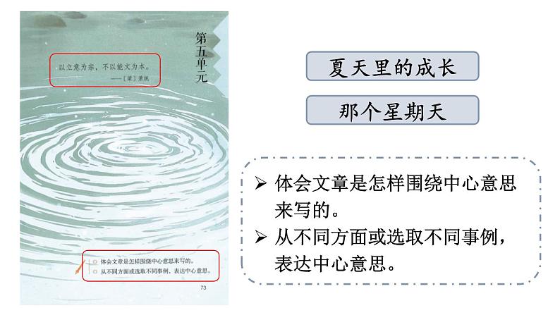 小学语文部编版六年级上册第16课《夏天里的成长》课件（2023秋新课标版）02