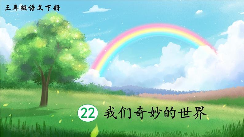 22 我们奇妙的世界课件PPT第5页