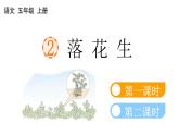 小学语文部编版五年级上册第2课《落花生》课件（2023秋新课标版）
