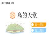 小学语文部编版五年级上册第23课《鸟的天堂》课件（2023秋新课标版）