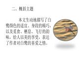小学语文部编版五年级上册期末课文知识点复习课件（2023秋新课标版）
