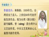 部编版一年级语文上册5 影子课件PPT