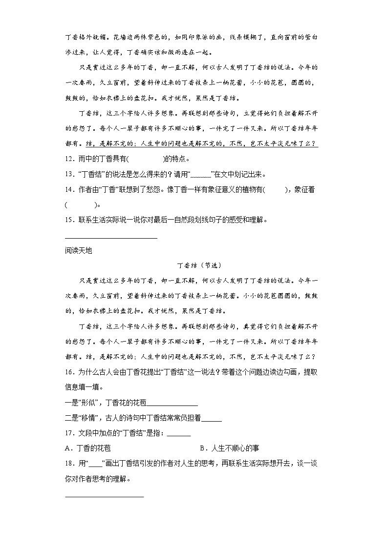 部编版语文六年级上册 2丁香结同步练习（部分有解析）03
