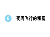 小学语文部编版四年级上册第6课《夜间飞行的秘密》作业课件（2023秋新课标版）