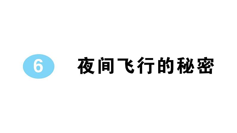 小学语文部编版四年级上册第6课《夜间飞行的秘密》作业课件（2023秋新课标版）01