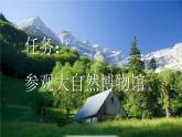 小学语文部编版三年级上册第22课《读不完的大书》课件（2023秋新课标版）