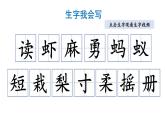 小学语文部编版三年级上册第22课《读不完的大书》课件（2023秋新课标版）