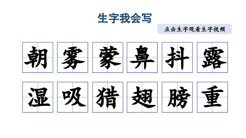 小学语文部编版三年级上册第23课《父亲、树林和鸟》课件（2023秋新课标版）第5页