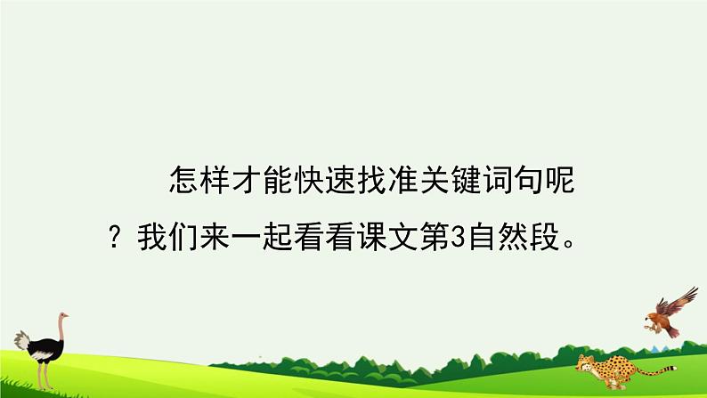 人教版五年级上册语文 什么比猎豹的速度更快课件PPT第8页