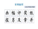 小学语文部编版二年级上册第5课《玲玲的画》课件（2023秋新课标版）