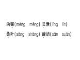 小學(xué)語文部編版二年級上冊第二單元復(fù)習(xí)練習(xí)課件（2023秋新課標(biāo)版）
