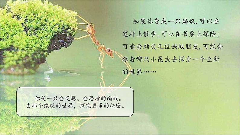 【同步备课】第一单元习作 变形记（课件）2023-2024部编版语文六年级上册第4页