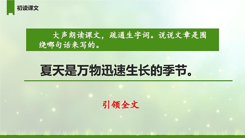 【同步备课】16.夏天里的成长第一课时（课件）2023-2024学年部编版六年级语文上册04