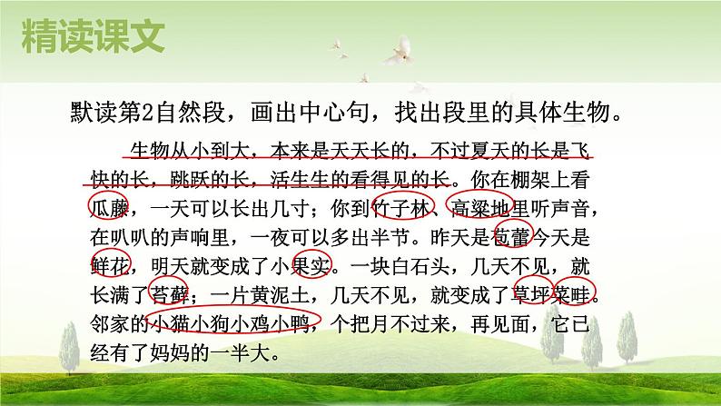 【同步备课】16.夏天里的成长第一课时（课件）2023-2024学年部编版六年级语文上册08