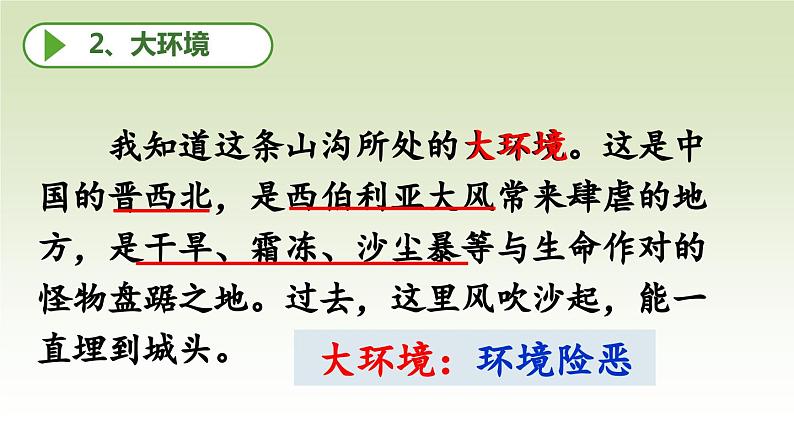 【同步备课】20.青山不老（课件）2023-2024学年部编版六年级上册语文06