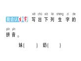 小学语文部编版一年级上册汉语拼音9 ɑi ei ui作业课件（2023秋新课标版）