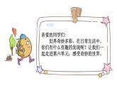 小学语文部编版一年级上册课文5 影子课件（2023秋新课标版）