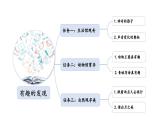 小学语文部编版一年级上册课文5 影子课件（2023秋新课标版）