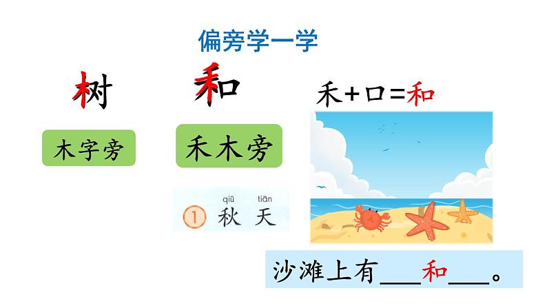 小学语文部编版一年级上册课文11 项链课件（2023秋新课标版）05