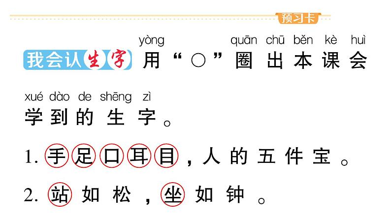 小学语文部编版一年级上册识字3 口耳目作业课件（2023秋新课标版）02