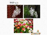 部编版语文三上 2《花的学校》课件PPT