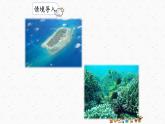 部编版语文三上18《富饶的西沙群岛》课件PPT