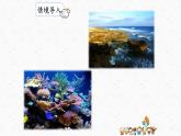部编版语文三上18《富饶的西沙群岛》课件PPT