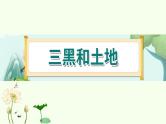 21《三黑和土地》 课件-部编版语文六年级上册